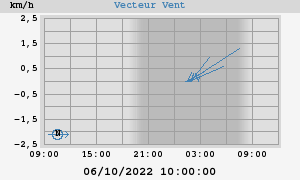 Wind Vector