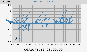 Wind Vector