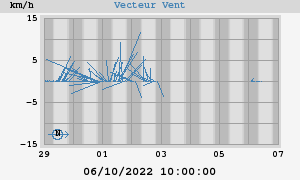 Wind Vector